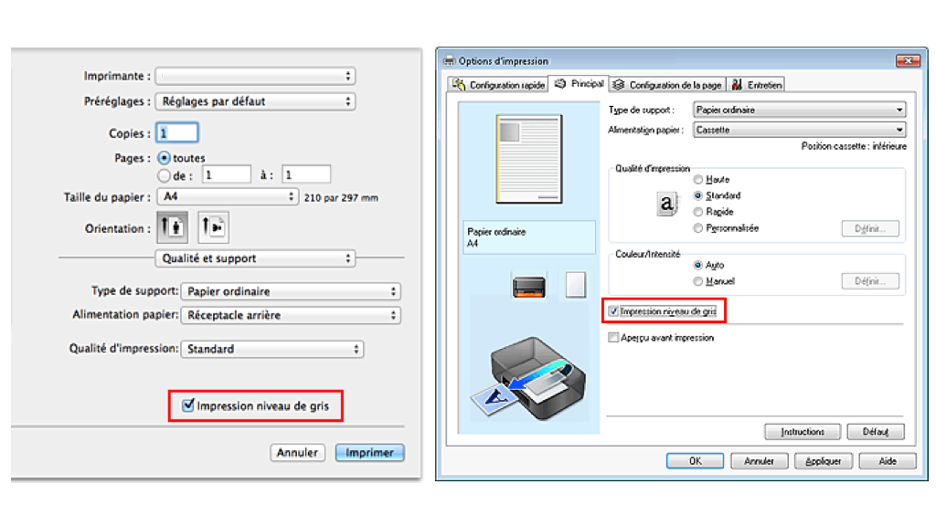 Trouver les paramètres avancés de l'imprimante pour activer le niveau de gris.
