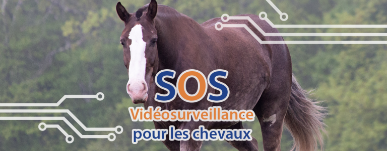 SOS télésurveillance vidéosurveillance des chevaux