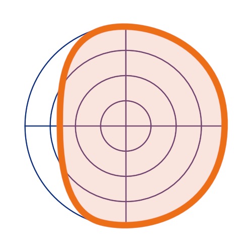 Schéma du fonctionnement d'un microphone subcardioïde.