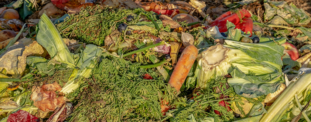 Réduire son gaspillage alimentaire et apprendre à recycler et réutiliser 