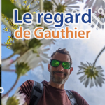 Cover-regard-photo-de-gauthier-article-techblog