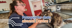 Cover-article-techblog-pourquoi-les-chats-aiment-denise