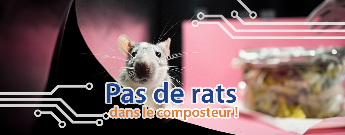 Comment se débarrasser des rats dans le composteur ? / astuces / TECHblog